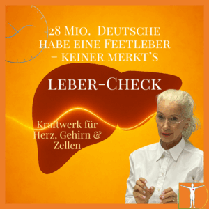Fettleber-Check
