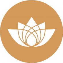 sundaynaturals logo-large